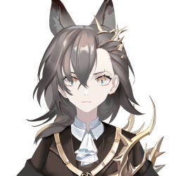 Rule 34 | 1girl, absurdres, animal ears, arknights, ascot, baimo, black hair, commentary, hair between eyes, hair ornament, highres, looking at viewer, medium hair, penance (arknights), simple background, solo, upper body, white ascot, white background, wolf ears, yellow eyes