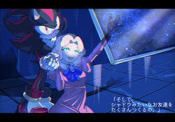 Rule 34 | 1boy, 1girl, 6v6 1212, ascot, blonde hair, blue eyes, dress, furry, furry male, gloves, holding hands, letterboxed, maria robotnik, open mouth, pink dress, red eyes, shadow, shadow the hedgehog, smile, sonic (series), sonic x, space colony ark, star (sky), translation request, white fur, white gloves
