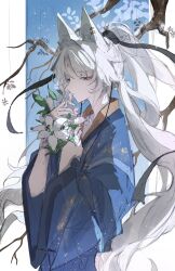 1girl absurdres alternate_costume animal_ears black_ribbon blue_background blue_hanfu branch chinese_clothes elyzerda feixiao_(honkai:_star_rail) flower forehead_jewel fox_ears fox_girl from_side hair_ribbon hanfu highres holding holding_flower honkai:_star_rail honkai_(series) long_hair long_sleeves looking_down ribbon solo upper_body very_long_hair white_background white_flower white_hair