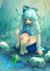 Rule 34 | 1girl, absurdres, barefoot, blue bow, blue dress, blue eyes, blue hair, bow, cirno, commentary request, dress, feet, frog, full body, hair bow, highres, korukua, outdoors, rock, short hair, short sleeves, squatting, touhou