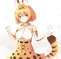 Rule 34 | 1girl, absurdres, animal ear fluff, animal ears, animal ears (norankkori), bare shoulders, belt, blonde hair, blush, bow, bowtie, commentary request, cowboy shot, cross-laced clothes, elbow gloves, gloves, high-waist skirt, highres, japari symbol, kemono friends, print bow, print bowtie, print gloves, print neckwear, print skirt, serval (kemono friends), serval print, serval tail, short hair, skirt, sleeveless, smile, solo, tail, traditional bowtie, yellow eyes