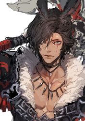 Rule 34 | 1boy, animal ears, armor, warrior of light (ff14), axe, black eyes, black hair, black jacket, closed mouth, collarbone, final fantasy, final fantasy xiv, fur collar, highres, jacket, jewelry, looking at viewer, male focus, necklace, ogata tomio, over shoulder, rabbit boy, rabbit ears, scar, scar across eye, scar on face, shoulder armor, simple background, sketch, solo, upper body, viera, weapon, white background