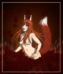 Rule 34 | 1girl, animal ears, breasts, brown hair, completely nude, holo, long hair, medium breasts, nipples, nude, red eyes, spice and wolf, tail, wolf ears, wolf girl, wolf tail