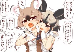Rule 34 | 2girls, 370ml, african wild dog (kemono friends), african wild dog print, animal ears, bad id, bad twitter id, black hair, blush, brown eyes, brown hair, brown vest, collared shirt, commentary request, dog ears, dog girl, extra ears, fingerless gloves, gambian rat (kemono friends), gloves, hair between eyes, hug, hug from behind, kemono friends, long sleeves, mouse ears, mouse girl, multicolored hair, multiple girls, print sleeves, shirt, short hair, short sleeves, sweatdrop, t-shirt, translation request, two-tone hair, vest, white gloves, white shirt