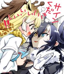 Rule 34 | !, !!, + +, 10s, 2girls, animal ears, animal print, blue hair, blush, book, breasts, cleavage, coat, eye contact, from side, fume, fur collar, giraffe ears, giraffe print, gloves, grey wolf (kemono friends), happy, heterochromia, holding, holding book, kemono friends, long hair, looking at another, multiple girls, necktie, profile, reticulated giraffe (kemono friends), scarf, shinoasa, shirt, simple background, smile, sparkling eyes, sweat, sweatdrop, twitter username, white background, white gloves, wolf ears, yellow eyes, yuri