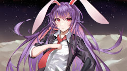 Rule 34 | 1girl, absurdres, animal ears, clip miao, closed mouth, hair between eyes, highres, light blush, light smile, long hair, looking at viewer, night, night sky, purple eyes, purple hair, rabbit ears, reisen udongein inaba, sky, solo, star (sky), touhou, upper body, very long hair