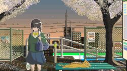 Rule 34 | 1girl, animated, animated gif, bag, bench, bird, black eyes, black hair, blinking, blue skirt, cat, closed mouth, duffel bag, evening, highres, holding, holding bag, long hair, long sleeves, looking at viewer, mae 1031, original, outdoors, pixel art, power lines, scenery, shirt, shopping bag, skirt, smile, solo, standing, white shirt