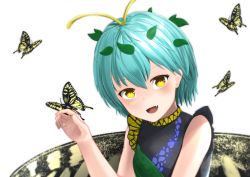 Rule 34 | 1girl, animal, antennae, aqua hair, blush, bug, butterfly, butterfly wings, dress, eternity larva, fairy, fang, green dress, hair between eyes, insect, insect on finger, insect wings, leaf, leaf on head, multicolored clothes, multicolored dress, open mouth, short hair, short sleeves, shuutsu, simple background, smile, solo, touhou, upper body, white background, wings, yellow eyes