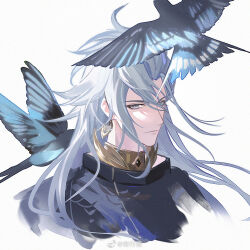 Rule 34 | 1boy, :|, bird, black robe, closed mouth, cropped torso, earrings, expressionless, gold collar, grey eyes, hair slicked back, japanese clothes, jewelry, long hair, looking at viewer, male focus, onmyoji, qixing dan, robe, sideways glance, simple background, solo, susabi (onmyoji), white background, white hair