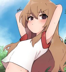 1girl aisaka_taiga arms_behind_head arms_up blush breasts breath brown_eyes brown_hair closed_mouth day gym_shirt gym_uniform hair_between_eyes highres koonowen long_hair looking_at_viewer looking_down midriff navel outdoors shirt short_sleeves signature small_breasts solo sweat upper_body