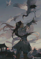 Rule 34 | 1girl, absurdres, bird, blue eyes, blurry, blurry background, cloud, crane (animal), dark, double bun, dress, flying, gou haihaihaihai, hair bun, highres, looking up, open mouth, original, outstretched arms, rooftop, sash, solo, spread arms, twintails, white dress