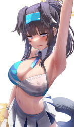Rule 34 | 1girl, animal ears, arm up, armpits, bangs, black hair, blue archive, breasts, cheerleader, cleavage, commentary request, detached collar, dog ears, dog girl, dog tail, facial mark, goggles, goggles on head, grey eyes, halo, hibiki (blue archive), hibiki (cheerleader) (blue archive), highres, holding, holding pom poms, long hair, looking at viewer, navel, official alternate costume, open mouth, pleated skirt, pom pom (cheerleading), pom poms, ponytail, sidelocks, silver bullet (ecc12 8), simple background, skirt, sleeveless, solo, star (symbol), stomach, sweat, tail, white background, white skirt