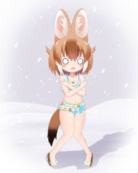 Rule 34 | 1girl, absurdres, animal ear fluff, animal ears, bare arms, bare legs, bare shoulders, bikini, blush stickers, brown footwear, brown hair, cold, collarbone, commentary request, dhole (kemono friends), full body, hair between eyes, highres, kemono friends, knees together feet apart, layered bikini, looking at viewer, multicolored hair, navel, o o, open mouth, outdoors, polka dot, polka dot bikini, sandals, shin01571, snow, snowing, solo, standing, swimsuit, tail, trembling, two-tone hair, wavy mouth, white bikini, white hair
