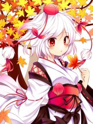 Rule 34 | 1girl, animal ears, autumn leaves, blush, breasts, chikuwa savy, detached sleeves, floppy ears, hat, highres, inubashiri momiji, japanese clothes, kimono, kourindou tengu costume, leaf, looking at viewer, obi, pom pom (clothes), red eyes, sash, short hair, silver hair, small breasts, solo, tail, tokin hat, touhou, wolf ears, wolf tail