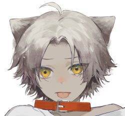 Rule 34 | 1boy, ahoge, animal ears, cat ears, collar, commentary request, grey hair, looking at viewer, male focus, original, portrait, short hair, simple background, solo, tearing up, tears, tongue, tongue out, torino kawazu, white background, yellow eyes