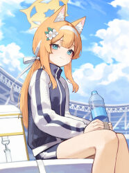 Rule 34 | 1girl, absurdres, animal ears, aqua eyes, blue archive, blue sky, bottle, closed mouth, cloud, day, flower, hair flower, hair ornament, hairband, halo, highres, jacket, looking at viewer, mari (blue archive), mari (track) (blue archive), official alternate costume, orange hair, outdoors, plastic bottle, sitting, sky, smile, solo, thighs, track jacket, water bottle, white hairband, yellow halo, yoon cook