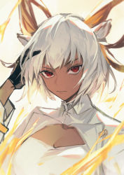Rule 34 | 1girl, animal ears, arknights, black gloves, breasts, carnelian (arknights), cleavage, closed mouth, dark-skinned female, dark skin, fanshu, gloves, goat ears, goat horns, hand in own hair, highres, horns, long sleeves, looking at viewer, medium breasts, portrait, red eyes, short hair, silver hair, simple background, solo, v-shaped eyebrows, white background