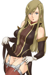 Rule 34 | 00s, 1girl, bad id, bad pixiv id, bare shoulders, blonde hair, blue eyes, brown hair, censored, clothes lift, detached sleeves, dress, dress lift, female focus, female pubic hair, garter straps, gloves, gus (clarkii), long hair, no panties, pubic hair, pussy, side slit, skirt, skirt lift, solo, tales of (series), tales of the abyss, tear grants, thighhighs, white background, white gloves