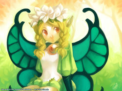 Rule 34 | 1girl, blonde hair, butterfly wings, fairy, flower, gina chacon, hair flower, hair ornament, insect wings, mercedes (odin sphere), odin sphere, pointy ears, puff and slash sleeves, puffy sleeves, solo, wallpaper, watermark, wings