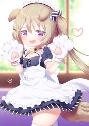 Rule 34 | 1girl, :d, animal ears, animal hands, apron, azur lane, bell, black choker, black dress, blurry, blurry background, blush, brown hair, candy hair ornament, candy wrapper, cat day, choker, commentary request, crescent, crescent hair ornament, depth of field, dog ears, dog girl, dog tail, dress, fang, food-themed hair ornament, frilled apron, frills, gloves, hair between eyes, hair ornament, hairclip, heart, highres, jingle bell, kokone (coconeeeco), long hair, looking at viewer, maid, maid headdress, nagatsuki (azur lane), nagatsuki (dangerous kitty maid?) (azur lane), neck bell, open mouth, paw gloves, puffy short sleeves, puffy sleeves, purple eyes, short sleeves, side ponytail, skindentation, smile, solo, tail, thighhighs, very long hair, white apron, white gloves, white thighhighs