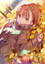 Rule 34 | 1girl, alternate costume, autumn, autumn leaves, backlighting, blurry, blurry background, brown coat, brown eyes, brown hair, buttons, coat, dot nose, dsmile, field, flower, hair between eyes, hair flower, hair ornament, hands up, high collar, long sleeves, looking at viewer, lying, misaka mikoto, on back, open mouth, overcoat, parted lips, sleeves past wrists, solo, tareme, toaru kagaku no railgun, toaru majutsu no index, tree, upper body, wide sleeves