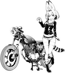 Rule 34 | 1girl, alternate costume, animal ears, arm at side, bandana, boots, extra ears, fingernails, foot up, fukushima masayasu, full body, greyscale, hair between eyes, hand up, head tilt, highres, jacket, kemono friends, leather, leather jacket, looking at viewer, lowleg, lowleg pants, medium hair, midriff, monochrome, motor vehicle, motorcycle, multicolored hair, navel, open mouth, pants, parted bangs, paw pose, serval (kemono friends), shiny clothes, simple background, smile, solo, standing, standing on one leg, stomach, tail, white background