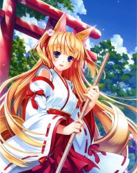 Rule 34 | 1girl, :d, absurdres, animal ears, arch, bamboo broom, blonde hair, blue sky, broom, day, detached sleeves, fox ears, fox tail, hakama, hakama skirt, highres, japanese clothes, kimono, long hair, looking at viewer, miko, nontraditional miko, open mouth, outdoors, red hakama, red skirt, ribbon-trimmed sleeves, ribbon trim, riv (rivleaf), skirt, sky, smile, solo, tail, torii, two side up, very long hair
