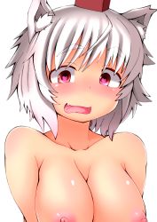 Rule 34 | 1girl, :p, animal ears, blush, breasts, eyebrows, fang, hat, heart, heart-shaped pupils, highres, inubashiri momiji, large breasts, looking at viewer, nipples, nude, open mouth, red eyes, shishi juuroku, short hair, simple background, solo, symbol-shaped pupils, thick eyebrows, tokin hat, tongue, tongue out, touhou, upper body, white background, white hair, wolf ears
