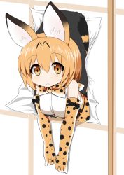 Rule 34 | 10s, 1girl, animal ears, bare shoulders, blonde hair, bow, bowtie, commentary request, elbow gloves, gloves, hair between eyes, kemono friends, looking at viewer, serval (kemono friends), serval print, serval tail, short hair, sleeveless, solo, sudou noboru, tail, through wall, yellow eyes