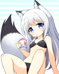 Rule 34 | 1girl, absurdres, animal ear fluff, animal ears, bikini, black bikini, blue eyes, breasts, food, fox ears, fox girl, fox tail, highres, long hair, looking at viewer, mogura2009, mouth hold, navel, original, shaved ice, silver hair, sitting, small breasts, solo, swimsuit, tail, thighs
