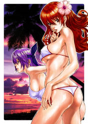 Rule 34 | 2girls, ass, ayane (doa), bare shoulders, beach, bikini, breasts, butt crack, cover, cover page, dead or alive, finger to mouth, flower, hair flower, hair ornament, headband, hibiscus, kasumi (doa), large breasts, leaning forward, looking back, midriff, multiple girls, nekoi mie, siblings, sideboob, sisters, swimsuit, tecmo, thong bikini, underboob
