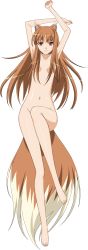 Rule 34 | 00s, 1girl, absurdres, animal ears, armpits, arms up, barefoot, breasts, brown hair, clenched hands, closed mouth, convenient censoring, convenient leg, dakimakura (medium), feet, flat chest, from above, full body, groin, hair censor, hair over breasts, highres, holo, incredibly absurdres, kuroda kazuya, legs, light smile, long hair, long image, long legs, looking at viewer, lying, naughty face, navel, nude, official art, on back, parted bangs, red eyes, shiny skin, sidelocks, small breasts, smile, solo, spice and wolf, tail, tall image, transparent background, vector trace, wolf ears, wolf tail