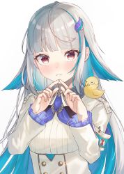 Rule 34 | 1girl, animal, animal on shoulder, armband, bird, bird on shoulder, blue hair, blunt bangs, blush, chick, colored inner hair, commentary request, fingernails, frilled sleeves, frills, hair ornament, hands up, highres, hiyorou, index fingers together, lize helesta, long hair, long sleeves, looking at viewer, multicolored hair, nijisanji, red eyes, safety pin, sebastian piyodore, shirt, solo, two-tone hair, very long hair, virtual youtuber, white hair, white shirt