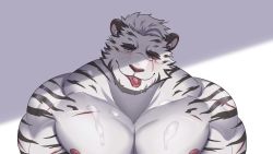 Rule 34 | absurdres, arknights, bara, cum, cum in mouth, cum on body, cum on male, furry, furry male, highres, male focus, mountain (arknights), nipples, out-of-frame censoring, solo, tiger, white tiger
