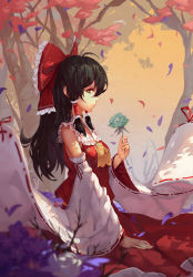 Rule 34 | 1girl, ahoge, ascot, autumn, bad id, bad pixiv id, black hair, blue flower, blue rose, blurry, bow, breasts, brown eyes, depth of field, detached sleeves, flower, from side, hair bow, hair tubes, hakurei reimu, holding, holding flower, leaf, long hair, looking at viewer, outdoors, petals, profile, ribbon-trimmed sleeves, ribbon trim, rose, sideways glance, sitting, small breasts, solo, touhou, tree, upper body, wide sleeves, zetlice