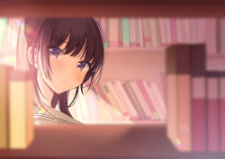 Rule 34 | 1girl, blurry, blurry background, blurry foreground, blush, book, bookshelf, brown hair, closed mouth, commentary request, depth of field, head tilt, highres, library, light particles, long hair, looking at viewer, looking to the side, original, portrait, purple eyes, sailor collar, school uniform, serafuku, shigure ui, sidelocks, solo, upper body, white sailor collar