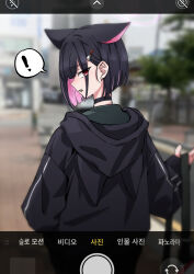 Rule 34 | !, 1girl, animal ears, back, black hair, blue archive, cat ears, choker, hair ornament, hairclip, halo, highres, hood, hooded jacket, jacket, kazusa (blue archive), looking at viewer, multicolored hair, pink hair, purple eyes, sin seishun, sleeves past wrists, solo, spoken exclamation mark, two-tone hair, user interface