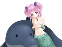 Rule 34 | 1girl, bad id, bad pixiv id, blush, collarbone, dolphin, gem, groin, hair ornament, hakuregu, hii-chan, md5 mismatch, mermaid, monster girl, namiuchigiwa no muromi-san, navel, pink eyes, pink hair, shell, short hair, smile, solo, trust no1, twintails, two side up, white background