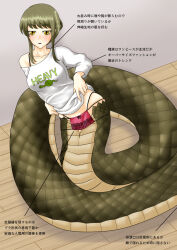 1girl blush cenobite_(demigoro) clothes_lift collarbone english_text green_eyes green_hair highres japanese_text lamia lingerie looking_at_viewer monster_girl original pale_skin scales shirt shirt_lift slit_pupils smile snake_tail solo tagme tail translation_request underwear white_shirt