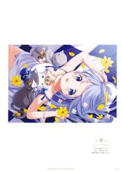 Rule 34 | 1girl, absurdres, arms up, bed sheet, blue eyes, cat, collarbone, cowboy shot, dress, flower, gochuumon wa usagi desu ka?, hair between eyes, hair flower, hair ornament, highres, holding, holding flower, jewelry, kafuu chino, key, key necklace, koi (koisan), long hair, looking at viewer, lying, necklace, on back, short dress, silver hair, sleeveless, sleeveless dress, solo, tongue, tongue out, white dress, white flower, x hair ornament, yellow flower