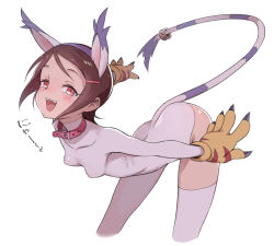 Rule 34 | 1girl, animal ears, animal hands, bent over, blush, breasts, brown hair, cat ears, cat girl, collar, digimon, digimon (creature), digimon adventure 02, fangs, female focus, gloves, hair ornament, hairclip, leaning forward, leotard, looking at viewer, open mouth, paw gloves, short hair, simple background, small breasts, smile, solo, tail, tailmon, ter (otokoter), yagami hikari