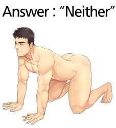 Rule 34 | 1boy, all fours, ass, bara, blush, brown hair, completely nude, english text, full body, if a dog wore pants (meme), large pectorals, looking away, male focus, meme, muscular, muscular male, nude, original, parody, pectorals, short hair, solo, stomach, thighs, white background, winemvee