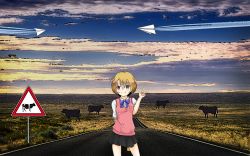 Rule 34 | 1girl, animal, arms behind back, black skirt, breasts, cloud, contrail, cow, cowboy shot, evening, field, hand gesture, heterochromia, highres, horizon, looking at viewer, medium breasts, paper airplane, pleated skirt, road, road sign, shirt, short sleeves, sign, skirt, smile, solo, street, sunset, sweater vest, third-party edit, v, white shirt