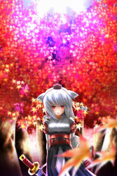 Rule 34 | 1girl, animal ears, autumn, autumn leaves, breasts, detached sleeves, forest, hat, highres, inubashiri momiji, kourindou tengu costume, leaf, looking at viewer, nature, open mouth, red eyes, shield, short hair, silver hair, solo, sword, tokin hat, touhou, weapon, wolf ears, zakkuru (zacky424)