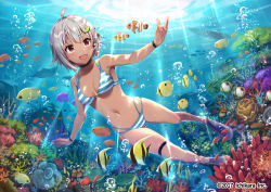 Rule 34 | 1girl, :d, ahoge, animal, bare arms, bare shoulders, bikini, black choker, blue footwear, breasts, choker, cleavage, clownfish, collarbone, commentary request, copyright notice, dark-skinned female, dark skin, day, eyebrows hidden by hair, fang, fish, flippers, food-themed hair ornament, freediving, gabiran, grey hair, hair ornament, hayama marin, lime hair ornament, medium breasts, multi-strapped bikini, navel, nijisanji, official art, open mouth, outdoors, red eyes, smile, solo, striped bikini, striped clothes, swimsuit, thigh strap, underwater, virtual youtuber, water, watermark