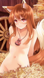 Rule 34 | 1girl, animal ear fluff, animal ears, arms behind back, blush, breasts, bright pupils, collarbone, commentary, cowboy shot, english commentary, groin, hair censor, hair over breasts, highres, holo, jewelry, long hair, looking at viewer, louis lloyd-judson, navel, necklace, nude, orange hair, red eyes, small breasts, smile, solo, spice and wolf, tail, wagon wheel, wheat, wolf ears, wolf girl, wolf tail