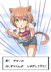 Rule 34 | &gt;:o, 10s, 1girl, :o, animal ears, bare legs, bra, brown hair, cat ears, cat tail, commentary request, emphasis lines, fake screenshot, hair ornament, hairpin, hoshizora rin, love live!, love live! school idol project, natsuiro egao de 1 2 jump!, overall skirt, panties, paw pose, pokemon, shipii (jigglypuff), solo, tail, translation request, underwear, v-shaped eyebrows, yellow eyes