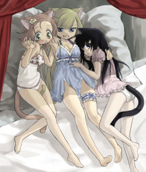 Rule 34 | 3girls, animal ears, barefoot, bed, breasts, camisole, cat ears, cat tail, cleavage, feet, holding hands, bridal garter, multiple girls, original, panties, tail, underwear, you2