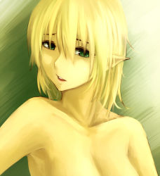 Rule 34 | 1girl, alternate hairstyle, bad id, bad pixiv id, blonde hair, breasts, green eyes, mizuhashi parsee, nude, parted lips, pointy ears, shikkoku (border of season), short hair, solo, touhou