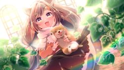Rule 34 | 1girl, absurdres, animal, animal ears, blurry, blurry background, blurry foreground, blush, brown eyes, brown hair, copyright request, dog, dutch angle, highres, holding, holding animal, long hair, looking at viewer, open mouth, scarf, shiba inu, solo, swept bangs, thick eyebrows, urara (sumairuclover), virtual youtuber